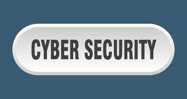 Cyber Sicherheitstaste Abgerundetes Zeichen Isoliert Auf Weißem Hintergrund — Stockvektor