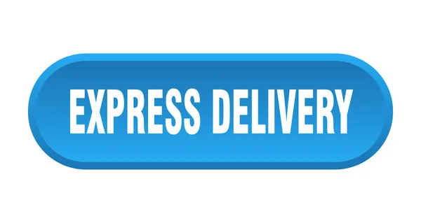 Express Delivery Button Rounded Sign Isolated White Background — Stock Vector