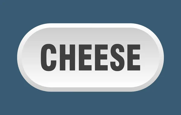 奶酪纽扣白色背景上孤立的圆形标志 — 图库矢量图片