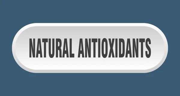 Přírodní Antioxidační Tlačítko Zaoblené Znamení Izolované Bílém Pozadí — Stockový vektor