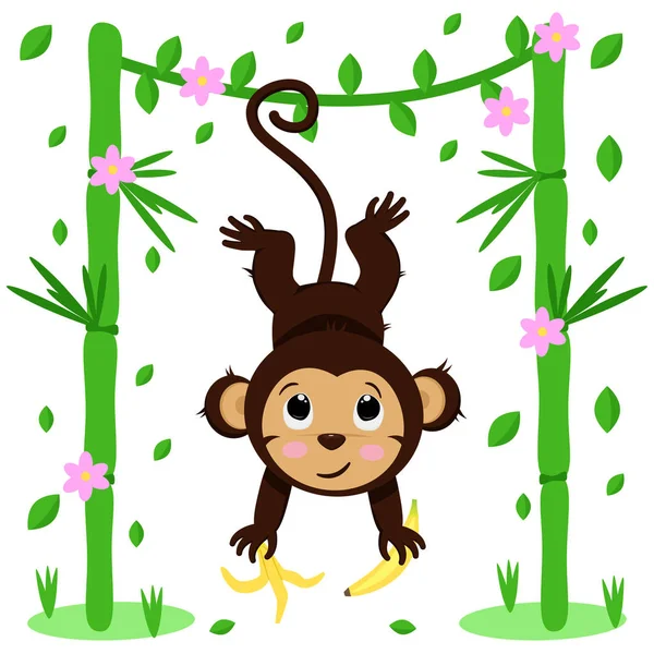 Poster Mit Niedlichem Affen Und Bambus Vektor Illustration Folge — Stockvektor