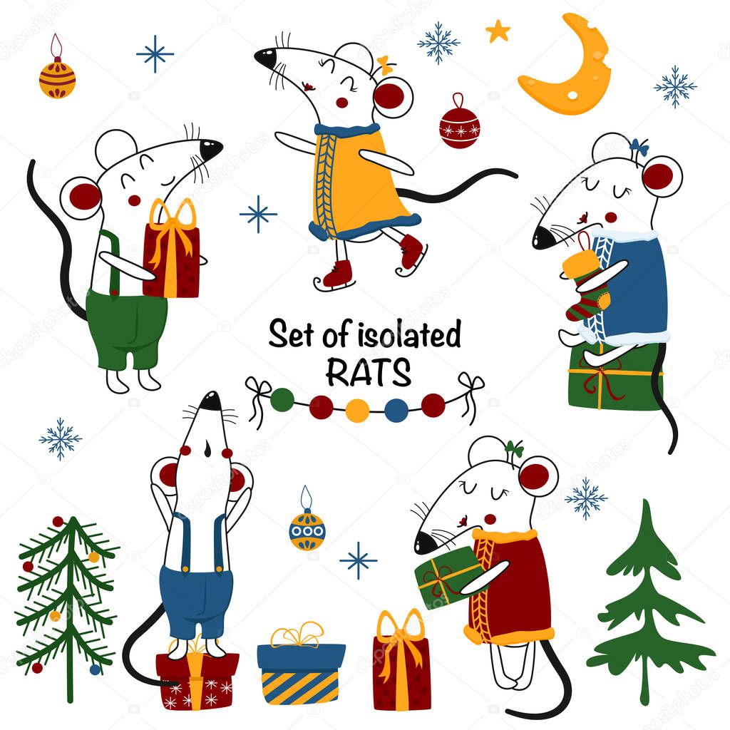 Set of isolated rats - vector illustration, eps
