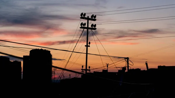 Summer Evening Roof Kyiv Ukraine — Stock Photo, Image