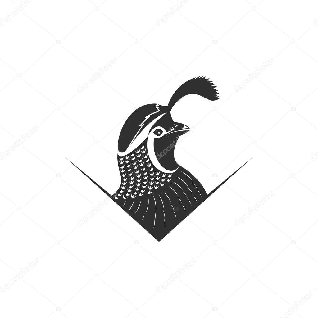 Quail logo vector illustration for your company or brand
