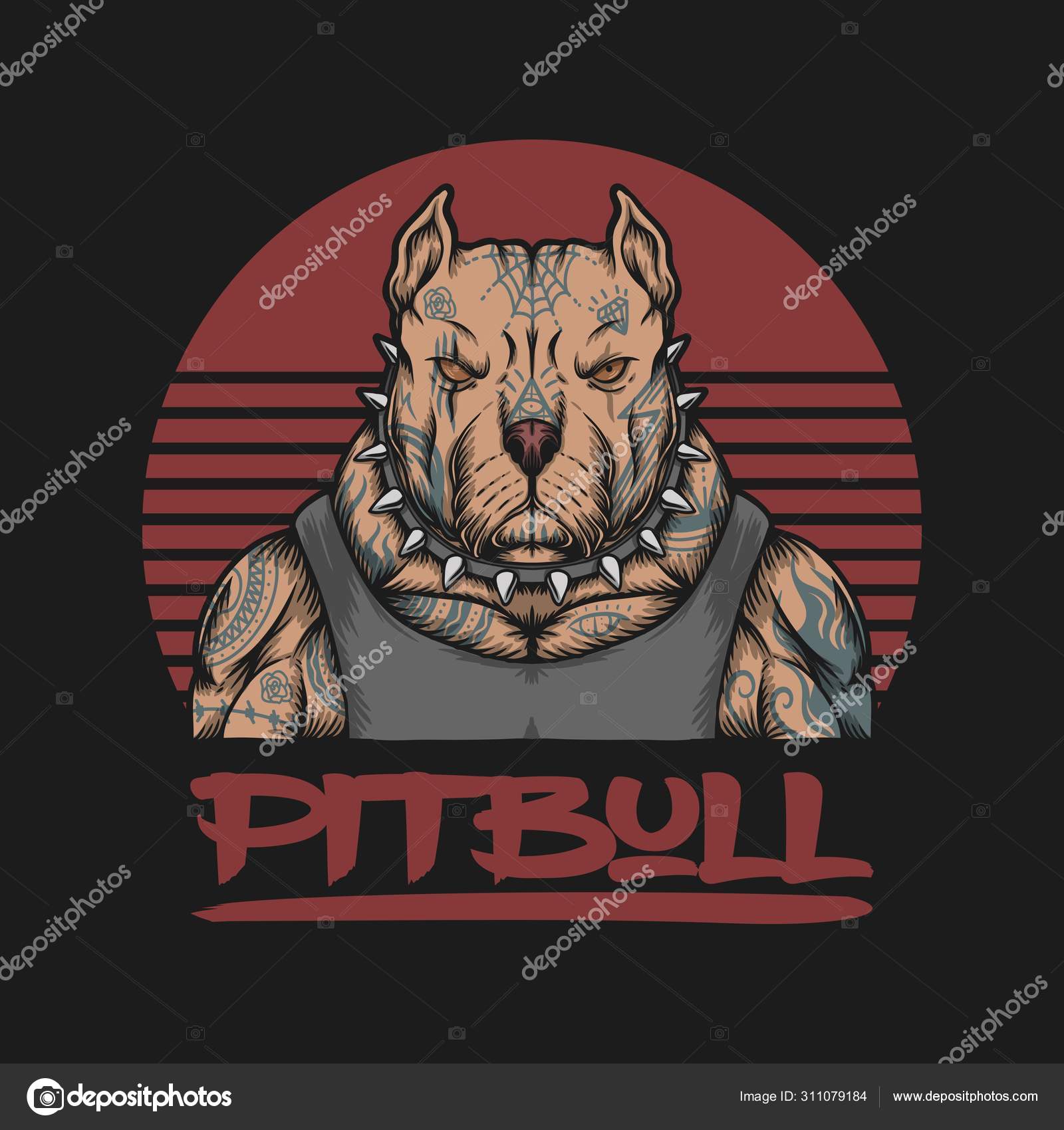 pitbull gangster tattoo vector illustration your company brand vector image by c andypp vector stock 311079184