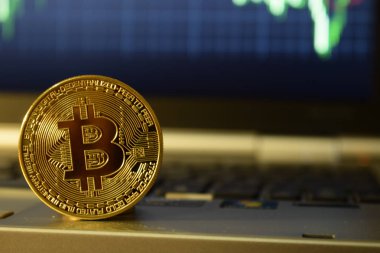 Para bitcoin bir dizüstü bilgisayarda. Dizüstü bilgisayar ekranında cryptocurrency teklifi gönderip. Döviz kuru ve yatırım bitcoins izleme.