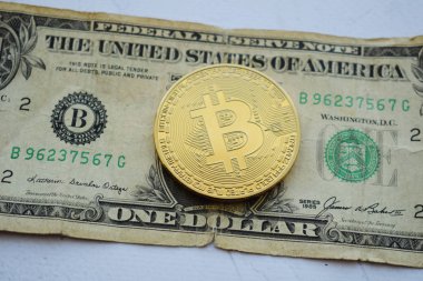 Bitcoin bir Amerikan Doları, dijital para, iş kavramı üzerinde