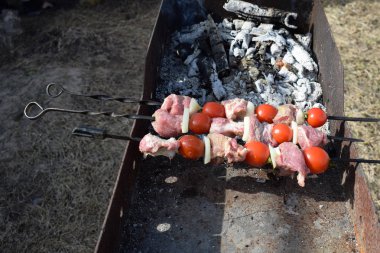Domuz eti, gelen sulu şiş kebap doğa bir arka plan üzerine açık bir ateşe kızarmış domates,.