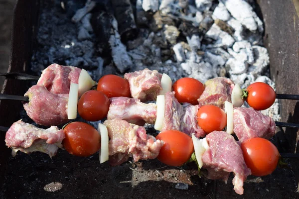 Hot roasted meat with onion and tomato on the metal skewer — Stock Photo, Image