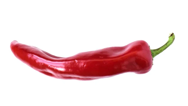 Röd paprika isolerad på vit bakgrund. Chili peppar. — Stockfoto