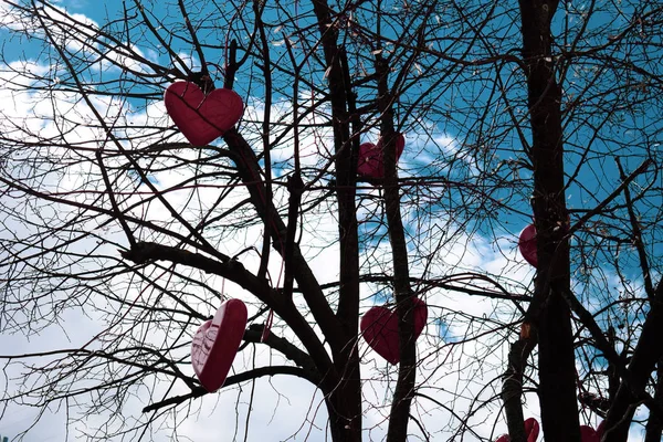 Red hearts are hanging on a tree without leaves against the sky.