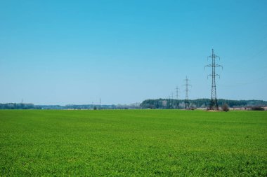 Yeşil alan ve mavi gökyüzü, birçok tel ile mesafe güç hatları.