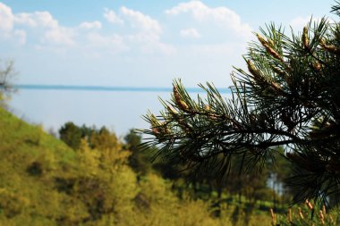 Doğa manzarası. Dağlar, nehir ve mavi gökyüzü. Ön planda bir ağacın yeşil dalı.