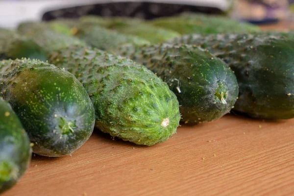 Fresh green cucumbers. Vegetarian food. Cucumber contains vitamins B, A. — Stock Photo, Image