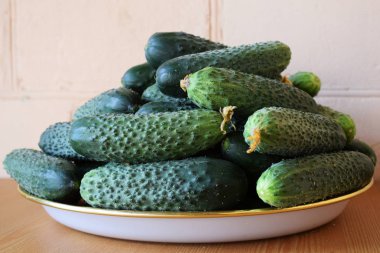 Tabakta taze yeşil salatalık. Vejetaryen yemekleri. Salatalık B, A vitaminleri içerir.