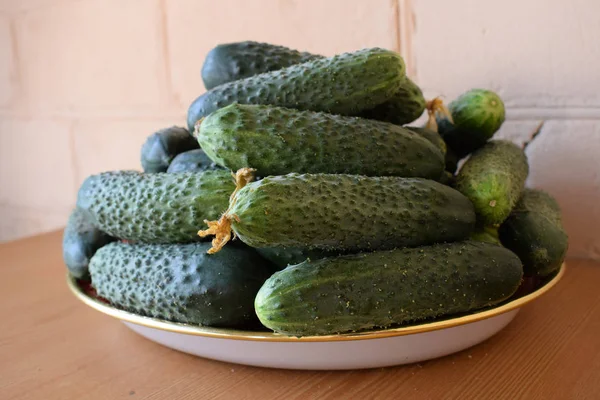 Φρέσκα πράσινα αγγούρια σε ένα πιάτο. Φαγητό για χορτοφάγους. Το αγγούρι περιέχει βιταμίνες B, A. — Φωτογραφία Αρχείου