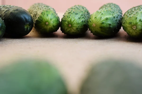 Φρέσκα πράσινα αγγούρια. Χρήσιμα λαχανικά και φαγητό. Φαγητό για χορτοφάγους. Το αγγούρι περιέχει βιταμίνες της ομάδας β, α. — Φωτογραφία Αρχείου