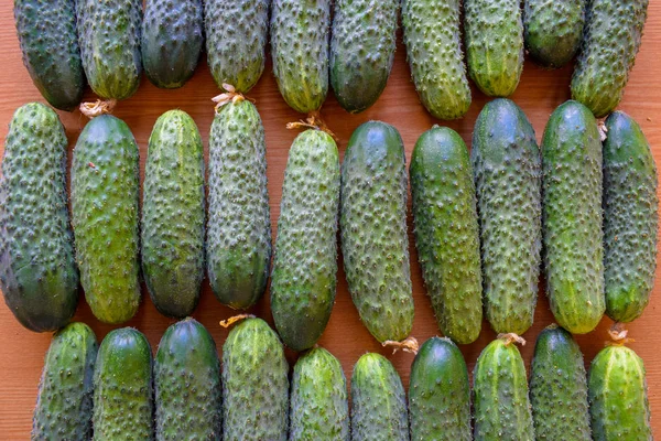 Pepinos verdes frescos. Comida vegetariana. El pepino contiene vitaminas B, A . —  Fotos de Stock