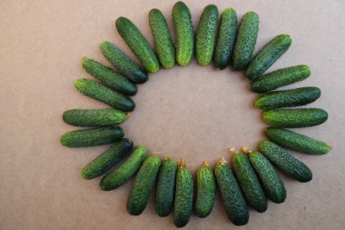 Taze yeşil salatalık. Yararlı sebze ve gıda. Vejetaryen yemekleri. Salatalık arka plan. Kopyalama alanı.