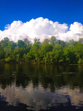 Güzel manzara, nehir, ağaçlar ve güzel bulutlu gökyüzü görünümü