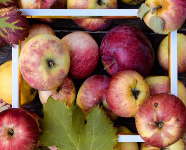 Elma ve üzüm beyaz çerçeve ile ahşap bir arka plan üzerinde yaprakları. Üstte görüntü