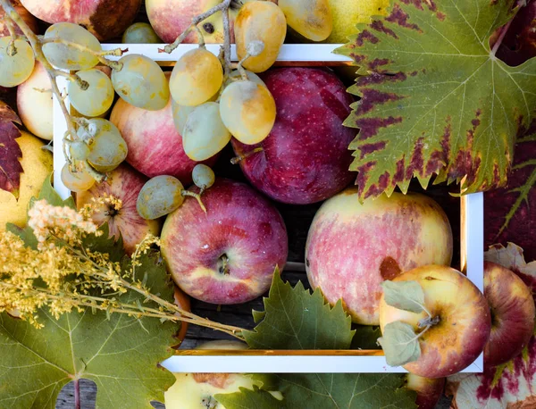 Apples, pears and white grapes on a wooden background with white frame. Top view — Stock Photo, Image