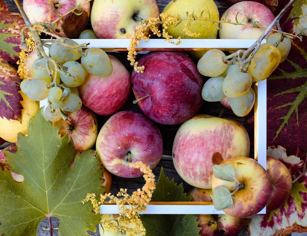 Apples, pears and white grapes on a wooden background with white frame. The concept of natural fruits grown in domestic conditions. Top view — Stock Photo, Image