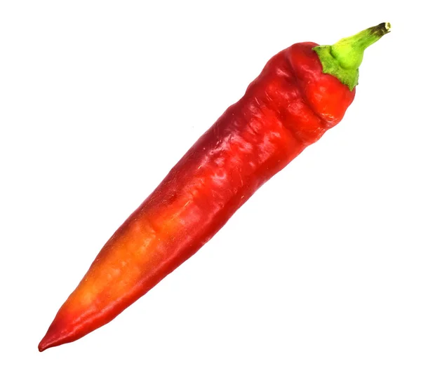 Röd paprika på vit bakgrund. Pod av papper krydda Asien på isolerad vit bakgrund — Stockfoto