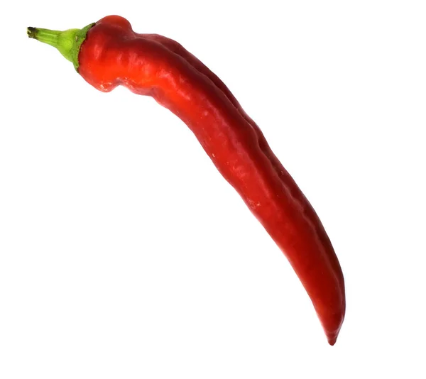 Röd varm chili peppar på en vit bakgrund — Stockfoto