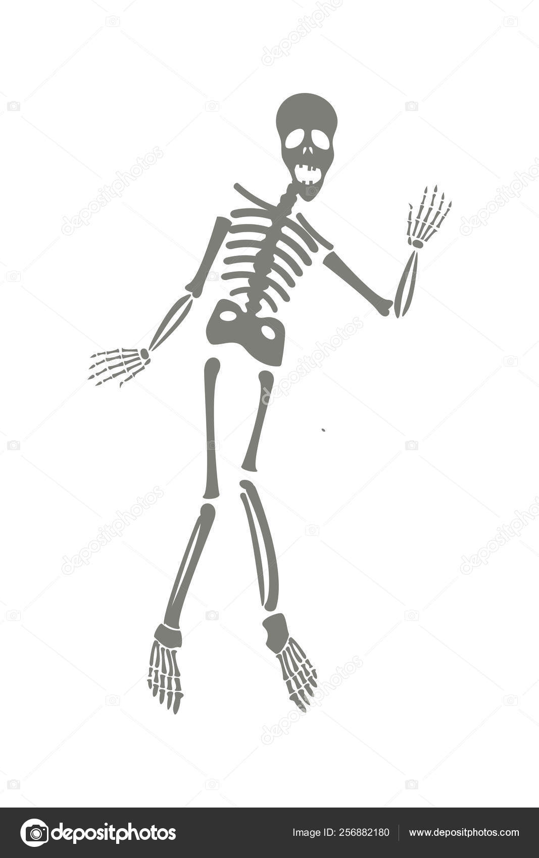 How to Draw a Halloween Skeleton and Make a Dancing Skeleton Display