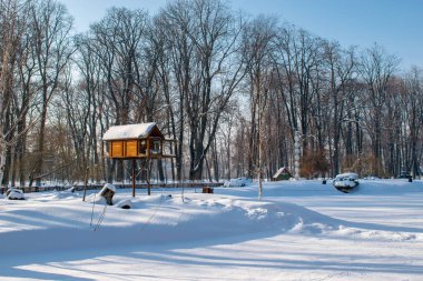Kış manzara Roma Park, Neamt, Romanya