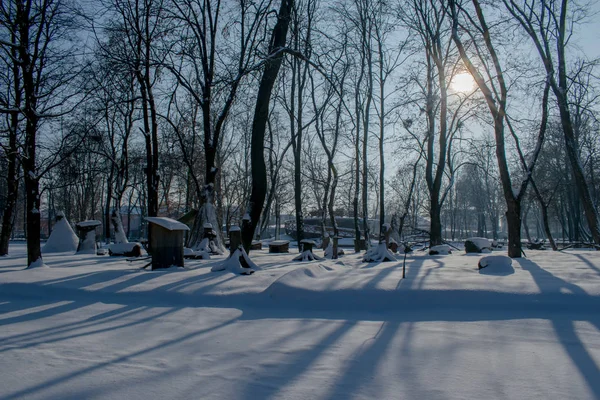 Zima Krajobraz Parku Roman Neamt Rumunia — Zdjęcie stockowe