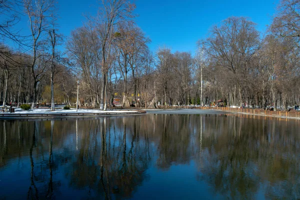 Paisagem Inverno Parque Romano Neamt Roménia — Fotografia de Stock