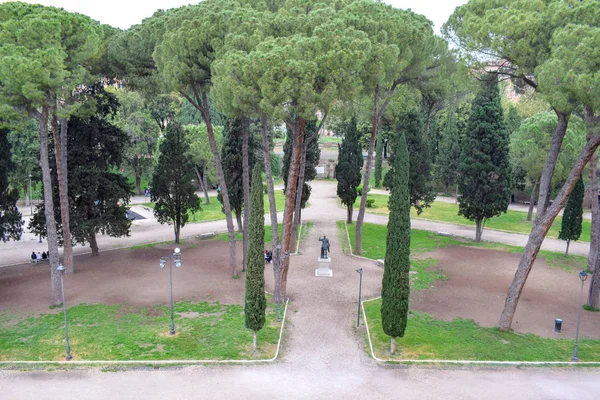 Pino Piedra Italiano Paisaje Roma Italia — Foto de Stock