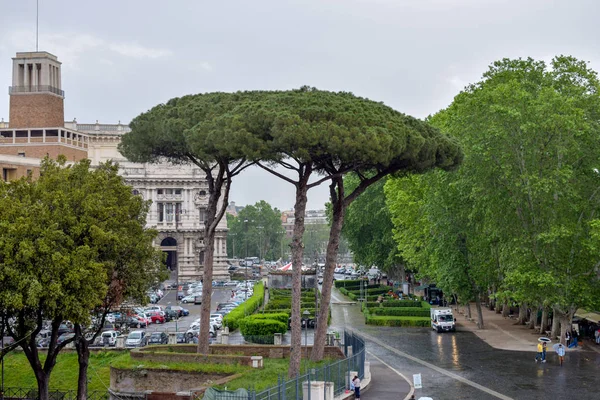 Pinheiro Pedra Italiano Paisagem Roma Itália — Fotografia de Stock