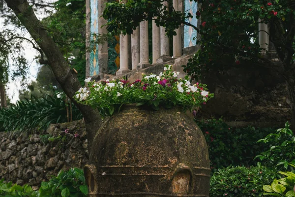 Prachtige Bloemen Uit Villa Cimbrone Ravello Amalfi Kust Italië Stockafbeelding