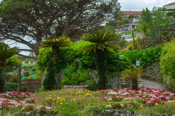 Colorful Flowers Garden Villa Rufolo Historic Center Ravello Amalfi Coast — Stock Photo, Image