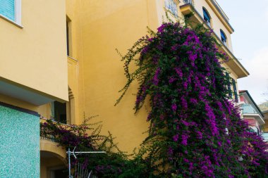 Monterosso al Mare, Coastal Village, Cinque Terre, İtalya