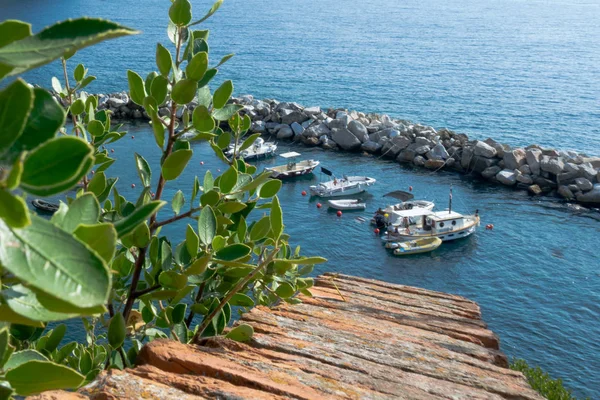 Port Riomaggiore Seen Cliff Cinque Terre Spezia Italy Royalty Free Stock Images