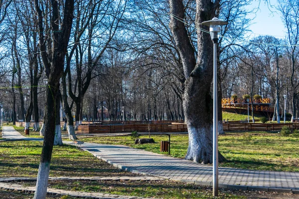 Une Des Ruelles Parc Romain Qui Reflète Arrivée Printemps Roumanie — Photo