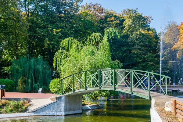 A small bridge over the recreational lake in Roman Park, Romania