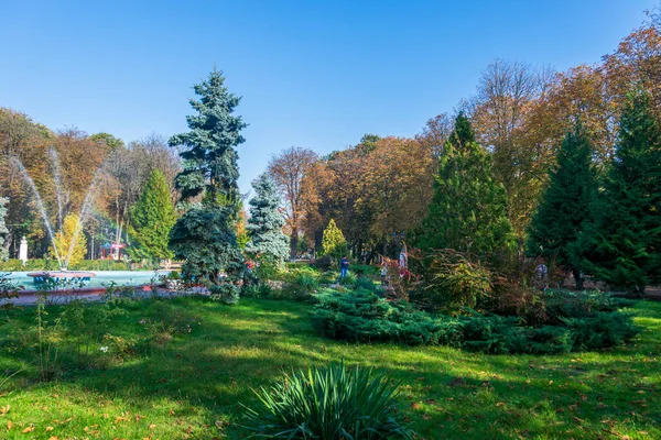 Артезианский Фонтан Осеннем Пейзаже Римском Парке Румыния — стоковое фото
