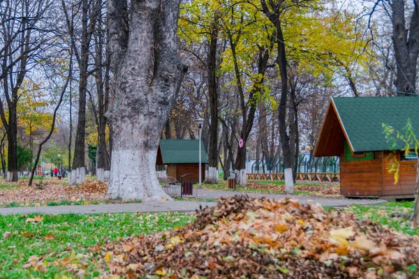 Paysage Fin Automne Dans Parc Romain Roumanie — Photo