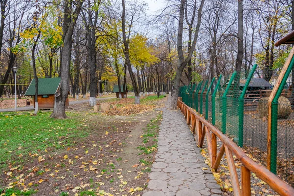 Ruelle Bois Dans Beau Paysage Automne Parc Romain Roumanie — Photo