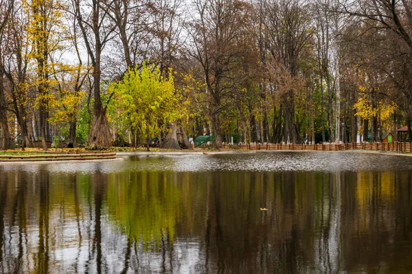 Recreational Lake Roman Park Reflecting Colors Autumn Romania — Stock Photo, Image