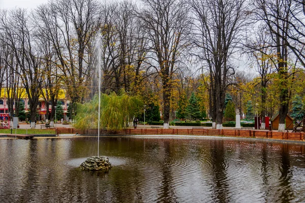 Fontaine Artésienne Milieu Lac Récréatif Ayant Automne Comme Paysage Parc — Photo