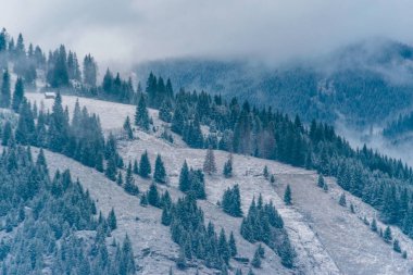 Ortoaia, Dorna Arini, Suceava County, Romanya 'dan fantastik bir kış manzarası