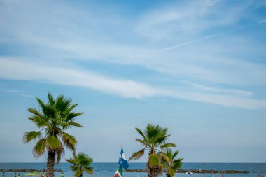 San Benedetto del Tronto, Adriyatik Denizi, Ascoli Piceno, İtalya 'dan palmiye ağaçları olan plaj.