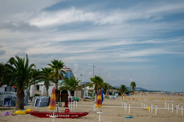 Beach Palm Trees San Benedetto Del Tronto Adriatic Sea Ascoli Royalty Free Stock Photos