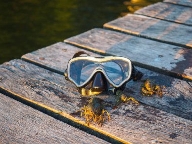 Kanser. Kendi ellerimizle kerevit yakaladık. Bir maskeyle daldı ve onları kıyıya çekti